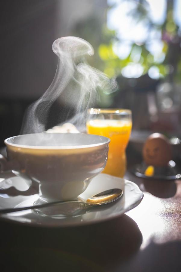 富丽狄丽斯霍夫膳食公寓 巴德克洛斯特劳尼茨 外观 照片